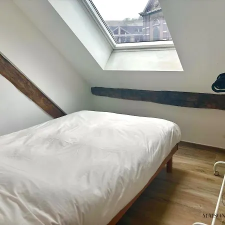 Le Belvedere De Barthelemy - Curtius Bueren Apartment Liege
